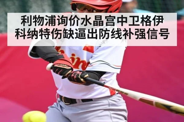 利物浦询价水晶宫中卫格伊 科纳特伤缺逼出防线补强信号
